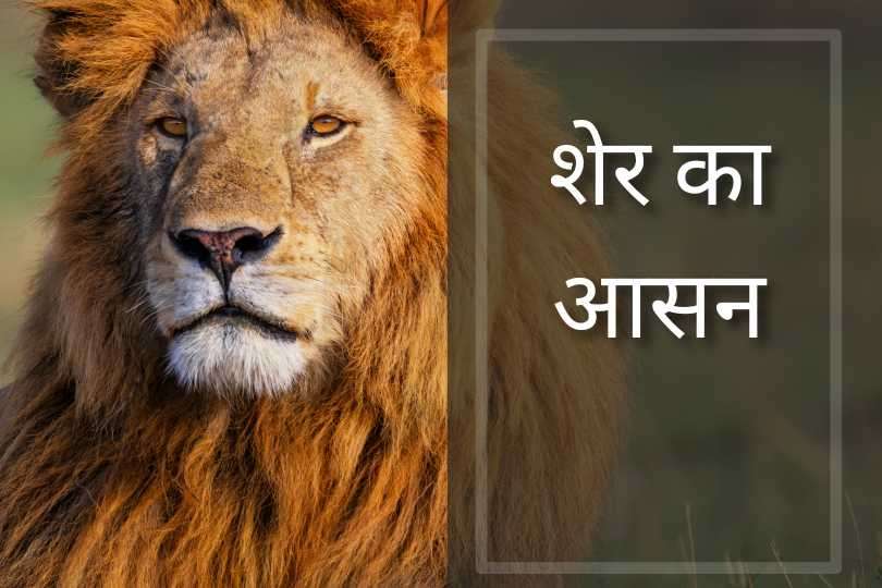 शेर का आसन